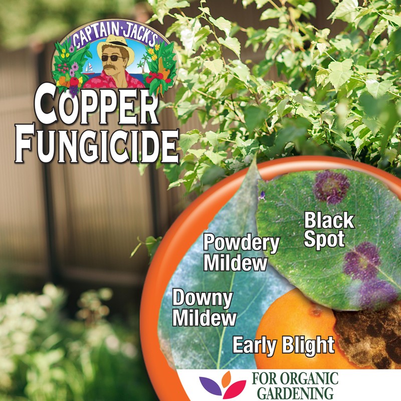 Bonide Captain Jack's Copper Fungicide, 16 oz Ready-to-Spray Disease Control
