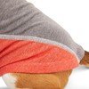 Reddy Petco Brand Grey/Red Cooling Dog Tee, X-Small, Gray/Red
