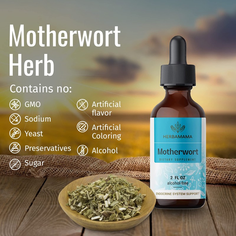 HERBAMAMA Motherwort Tincture - Organic Motherwort Herb Liquid Drops -