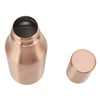 Oil Dispenser Bottle Stainless Steel Drip Proof Design Dustproof Cover