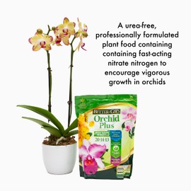 Better-Gro 83030 Orchid Plus, 16-Ounce