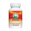 Nature's Sunshine Astragalus 100 Capsules