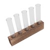 Plant Propagation Station, Plant Propagation Tubes Minimalist Look for Desktop