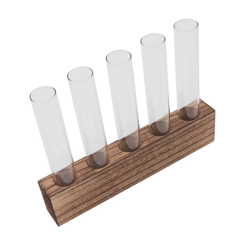Plant Propagation Station, Plant Propagation Tubes Minimalist Look for Desktop