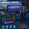 Podcast Equipment Bundle for 2, Audio Interface with XLR Condenser
