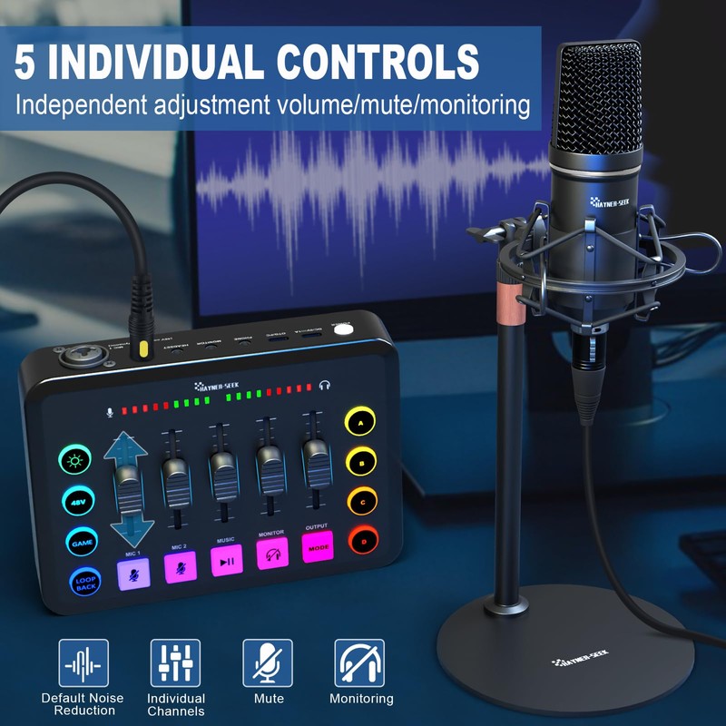 Podcast Equipment Bundle for 2, Audio Interface with XLR Condenser