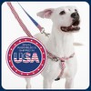 2 Hounds Design Freedom No-Pull Dog Harness with Leash, Burgundy,