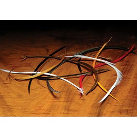 Goose Biot Combo Packs - Fly Tying