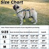 Escape Proof Dog Harness and Leash Set, Lightweight Dog Harness