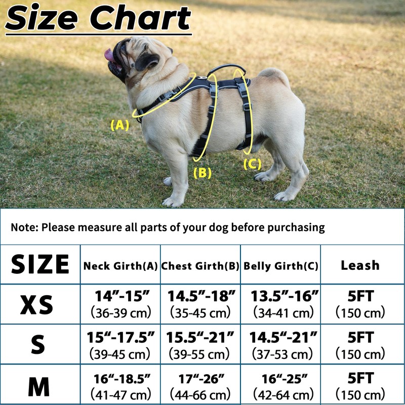Escape Proof Dog Harness and Leash Set, Lightweight Dog Harness