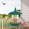 Bird Feeder for Outdoors - 360° Feeding Perch. Green