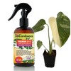 Gardenera Professional Thai Constellation Spray Fertilizer Mist for Home Gardening