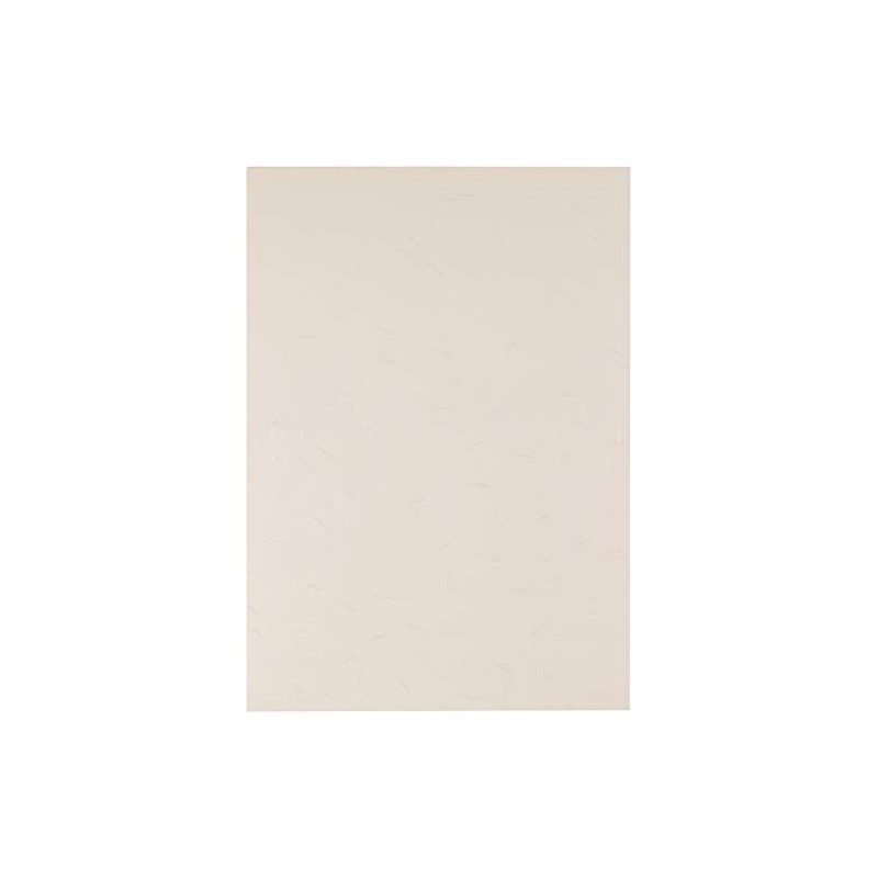 Tsubame Notebook, Washi Word Processor & Copy Paper, A4, IJ