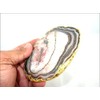 Jet International Gold Plated Agate Slice Coaster Single (1) Piece