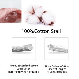 Lohhbve Maternity Briefs V Shape Abdominal Support Briefs Cotton Breathable Maternity Panties Women Postpartum Pack of 5, 5 colours, M