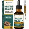 Fuenvegtal Cuachalalate Digestive Drops: Herbal Supplement w/Licorice Root, Dandelion, Clove,