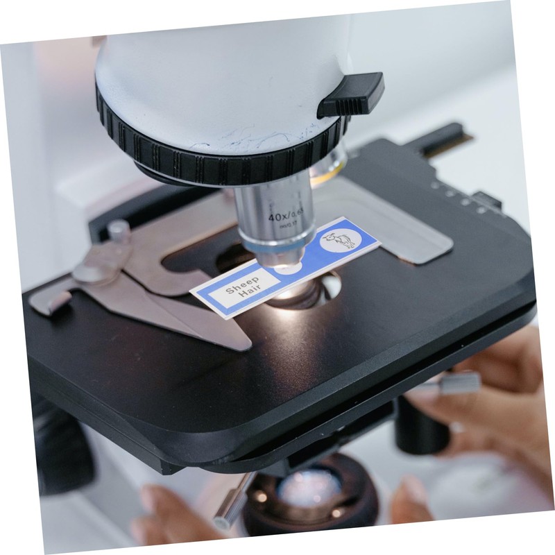 Hohopeti 12 pcs Prepared Microscope Slides for Educational Science Classroom