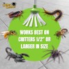 My Critter Catcher - Spider and Insect Catcher (Pink)