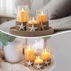 Baquler 3 Pcs Beach Starfish Plastic Flameless LED Battery Candle
