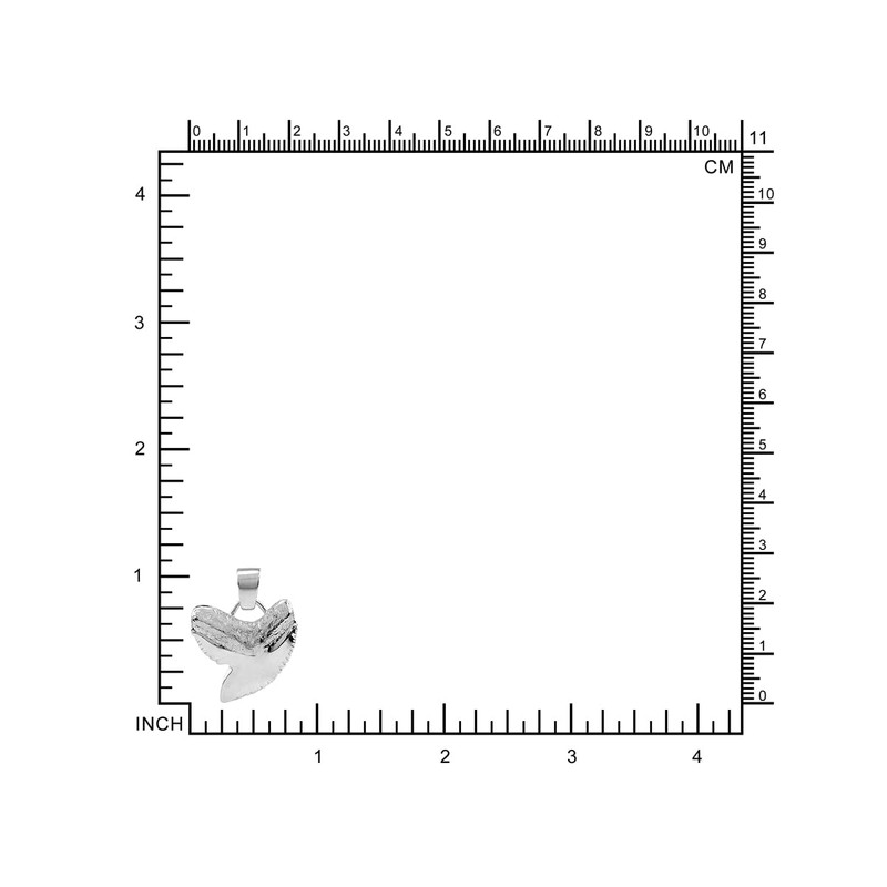 Silvershake White Gold Plated 925 Sterling Silver Tiger Shark Tooth