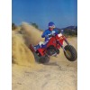 HONDA ATC250R ATC 250R RUBBER FRAME STRAP, GAS TANK SETTING,