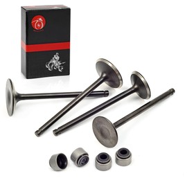 Intake & Exhaust Valves and Seal For Polaris Predator 500 2003-2007 Outlaw 500 2006-2007 3087982 3087981