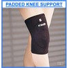 Proline Padded Knee Support - Black - X.Large
