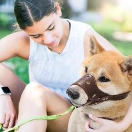 PETCUTE Leather Dog Muzzle Anti-barking Dog Muzzle for Large Medium Small Dog XS