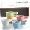 Gatuida 5pcs Ceramic Milk Pitcher Coffee and Sauce Cups with