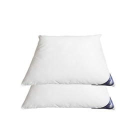 Welt der Träume 2 x Down Pillows, 40 x 40 cm, Filling Weight: 300 g, 100% Cotton, 40 x 40 cm, Feather Pillow, No Live Pluck, White, Pack of 2