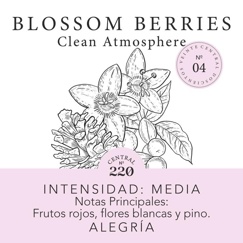 Central 220 | Vela Aromática Blossom Berries | frutos rojos,
