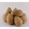 Dried Egg Gourds 10 Pieces, great for crafting