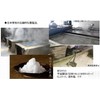 Fresh Salt Salt Naruto Uzushio, Made in Japan, Good Luck,
