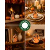 iStatue Set of 2 Thanksgiving Decorations Owl Figurines – Hand-Painted