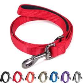 Cyclpet Advanced 4 Feet Dog Leash with Padded Handle-Sturdy Nylon Dogs Leads for Small Medium Dogs Walking,Training,Hiking,Jogging,Camping,etc (Chili Pepper, Small: 4 Feet Length× 5/8 Inch Width)