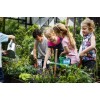 FRONTIER SEED CO. USA Survival Heirloom Seed Bank 6 varieties