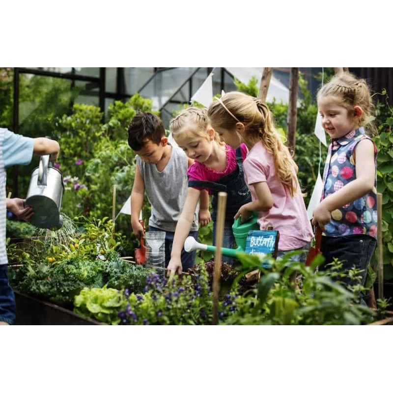FRONTIER SEED CO. USA Survival Heirloom Seed Bank 6 varieties