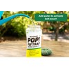 RESCUE! POP! Fly Trap – Large Reusable Fly Trap for