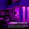 LOXYEE PAR38 Flood Purple Light Bulbs,2 Pack Dimmable,E26 Base Purple