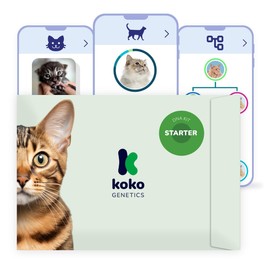 Koko Genetics DNA Test for Cats Starter - (Breeds and Traits Reports) - Upgrades at no cost