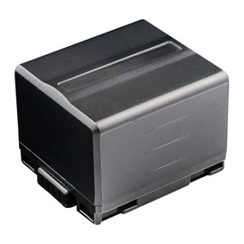 Kastar 2-Pack CGA-DU14 Battery and LCD AC Charger Compatible with Panasonic PV-GS65, PV-GS70, PV-GS75, PV-GS80, PV-GS83, PV-GS85, PV-GS120, PV-GS150, PV-GS180, PV-GS200, PV-GS250, PV-GS300, VDR-M30