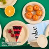 6 Inch 100 Count Round Paper Plates