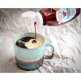 Sweetly Divine Natural Fruit Flavored Blueberry Syrup for Coffee, Pancakes, Waffles, Ice Cream - Healthy and Great Tasting Flavoring Syrup - No High Fructose Corn Syrup (Blueberry, (2) 14 oz bottles)