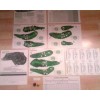 DICE NUTZ PRO GOLF Board Game w/ 3 Famous Courses