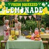 LIRAVENO Lemonade Sign Vinyl Banner - 2 x 10 ft