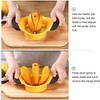3-in-1 Mango Slicer/Peeler/Cutter/Splitter/Pitter with Stainless Steel Blade Pit Remover Tool