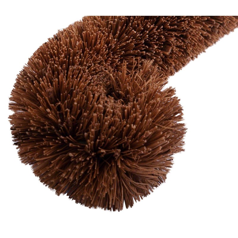 Eco Coconut Eco-Friendly, Multi-Purpose Bottle Brush, Pack of 1