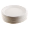 EcoQuality 9 inch Plates 100% Compostable - Natural Sugarcane Biodegradable