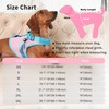 JoyDaog Jacket Style Fully Body Support Dog Vest Harness for