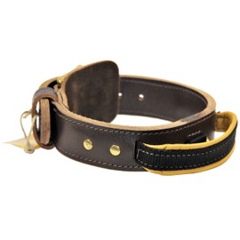 Dean and Tyler SIMPLICITY, Leather Dog Collar with Handle and Solid Brass Hardware - Brown - Size 38 by 1-34 - Fits Neck 36 to 40                     
